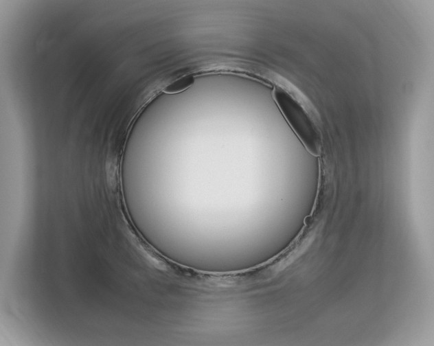 X0000113090993200908281004