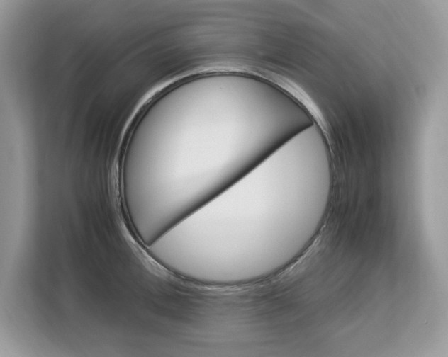 X0000113090996200908281004