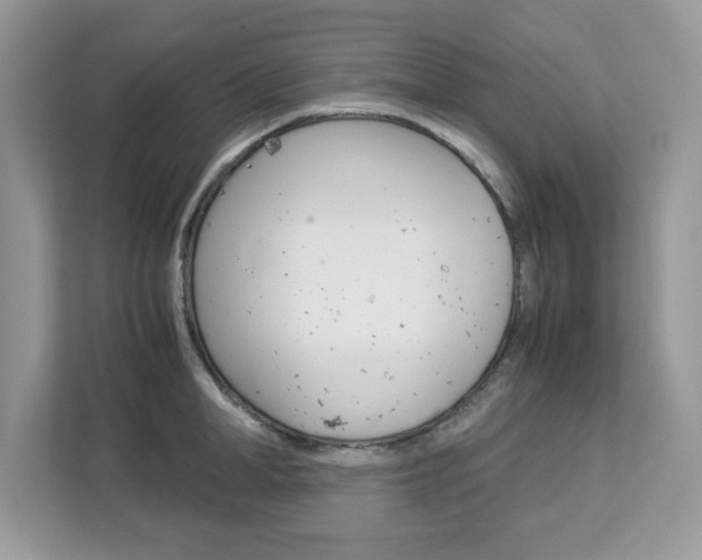 X0000113090998200908281003