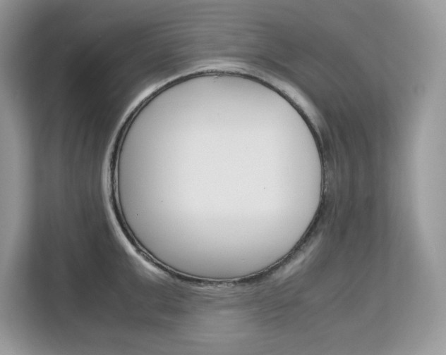 X0000113090999200908281003