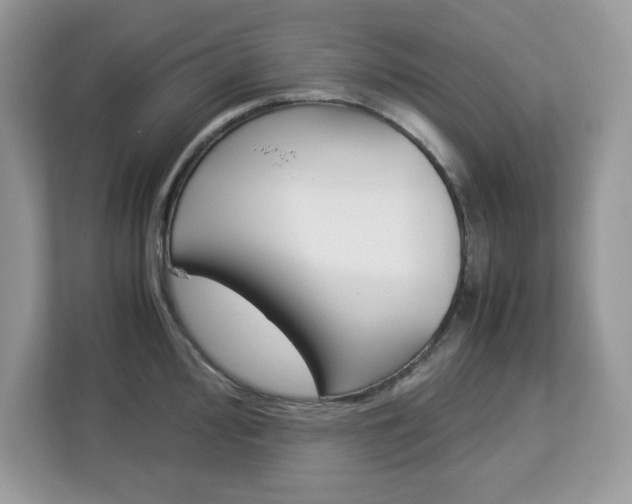 X0000113091000200908281003