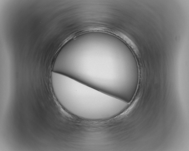 X0000113091001200908281003