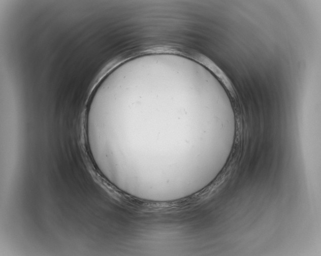X0000113091002200908281003