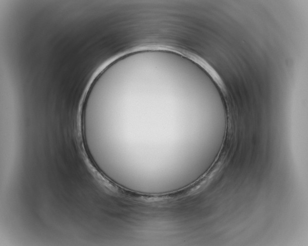 X0000113091004200908281003