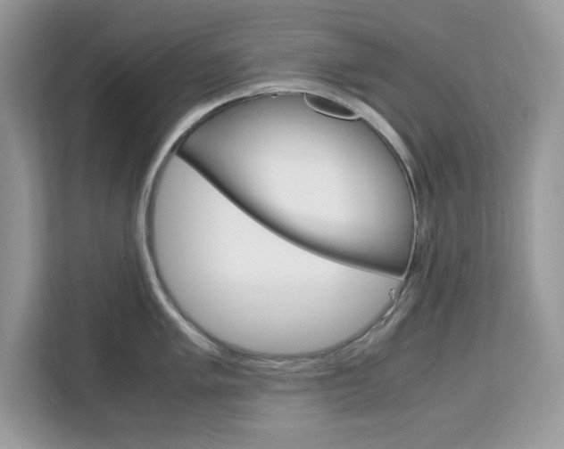 X0000113091005200908281003