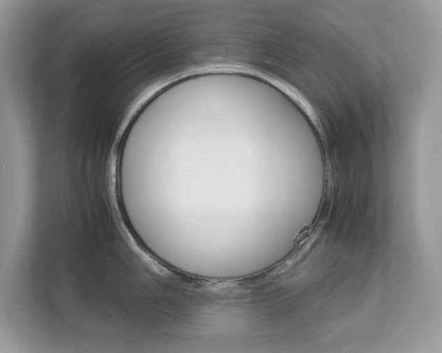 X0000113091006200908281003
