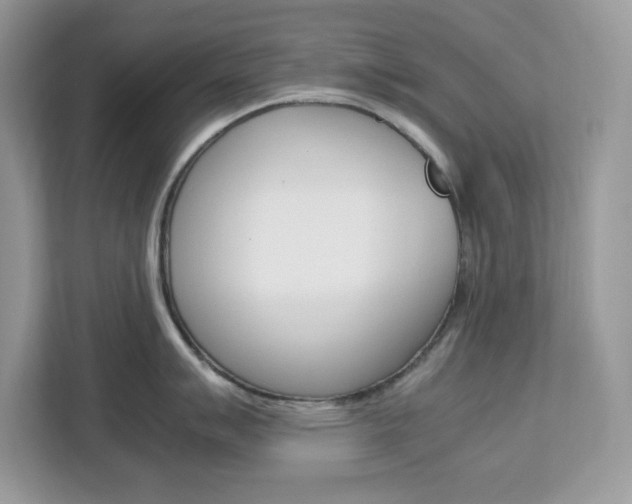 X0000113091007200908281003