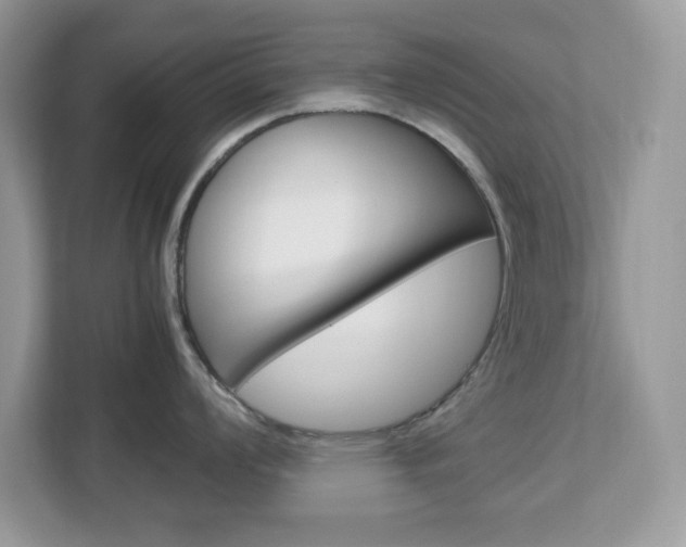 X0000113091008200908281003