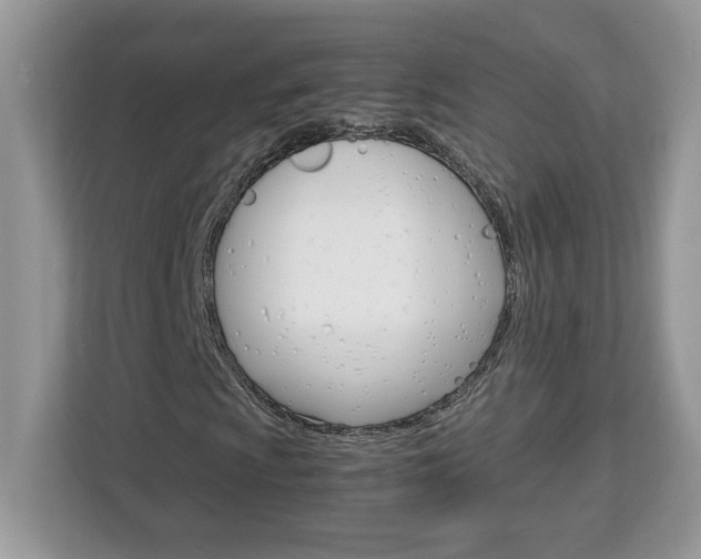 X0000113091009200908281003