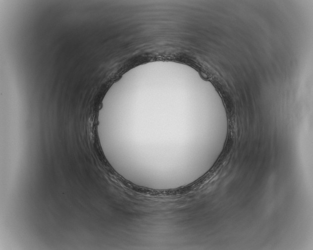 X0000113091010200908281003