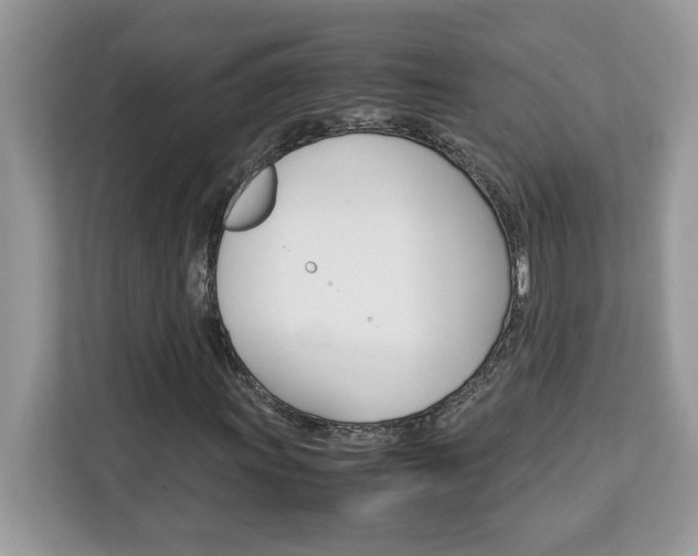 X0000113091011200908281003