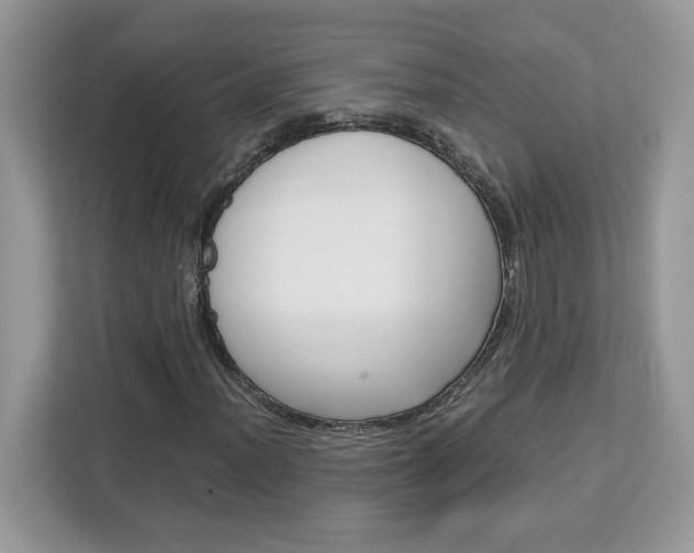 X0000113091012200908281003