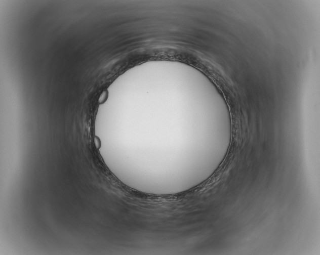 X0000113091013200908281003