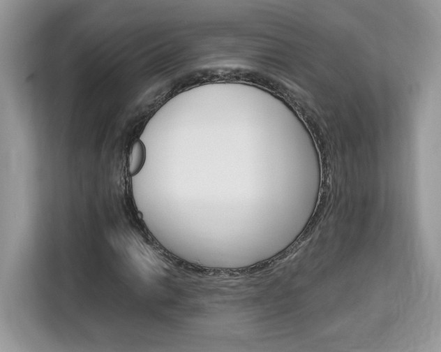 X0000113091014200908281003