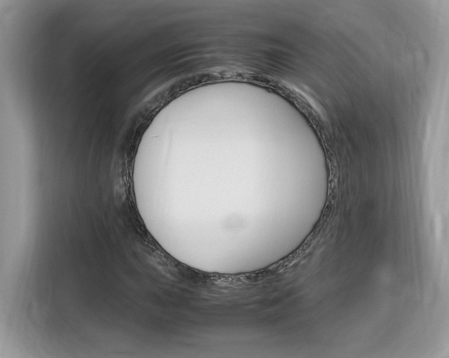 X0000113091015200908281003