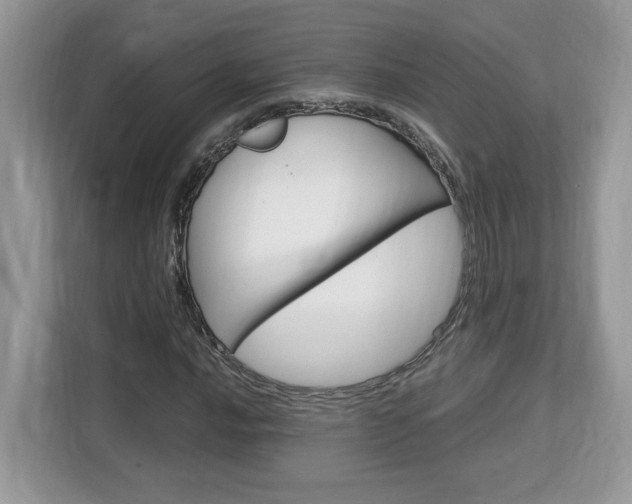 X0000113091016200908281003