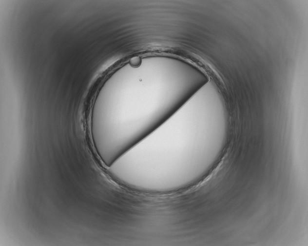 X0000113091018200908281003