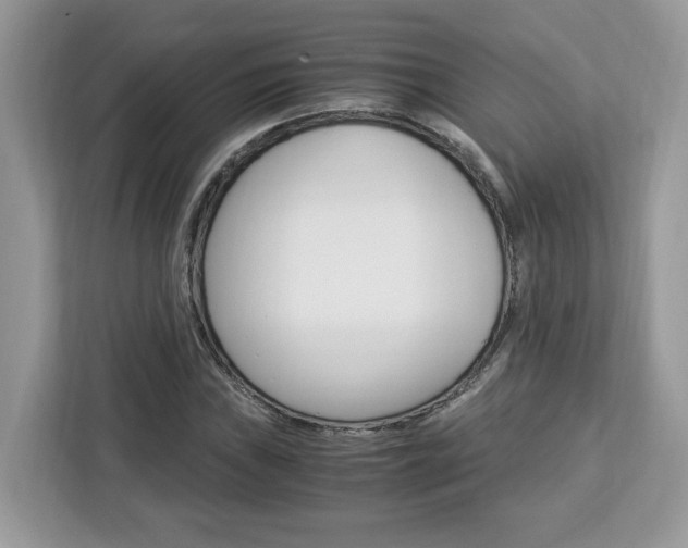 X0000113091019200908281003