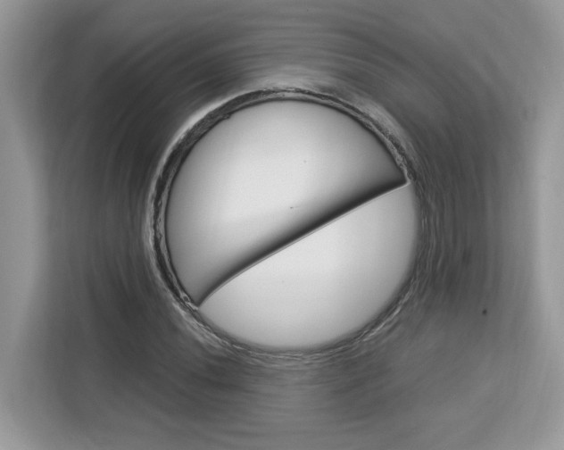 X0000113091020200908281003