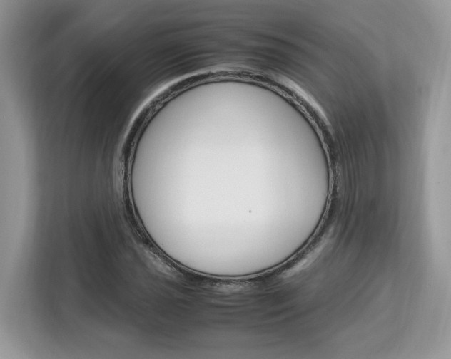 X0000113091021200908281003