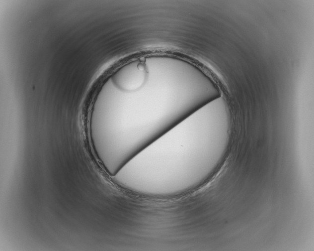 X0000113091022200908281003