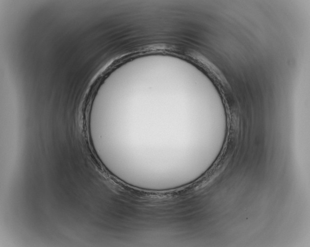 X0000113091023200908281003