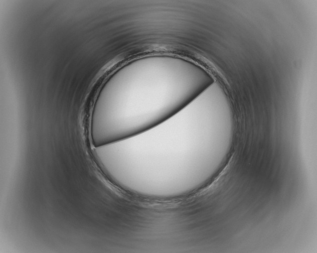 X0000113091026200908281003