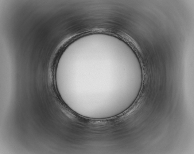 X0000113091027200908281003