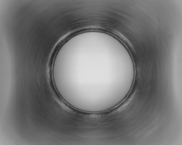 X0000113091029200908281003