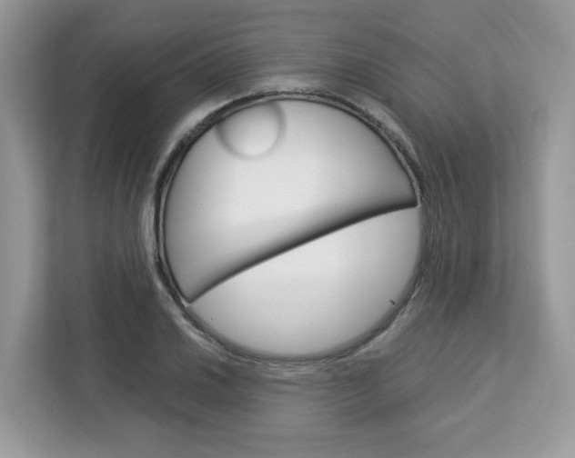 X0000113091030200908281003