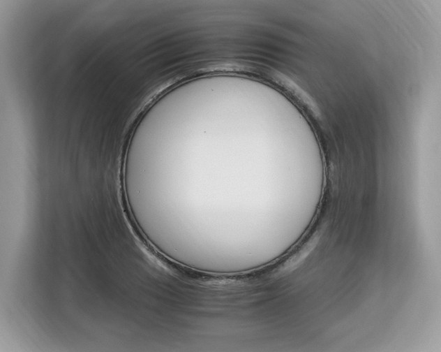 X0000113091033200908281003