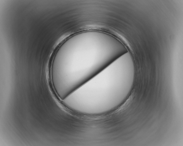 X0000113091034200908281003