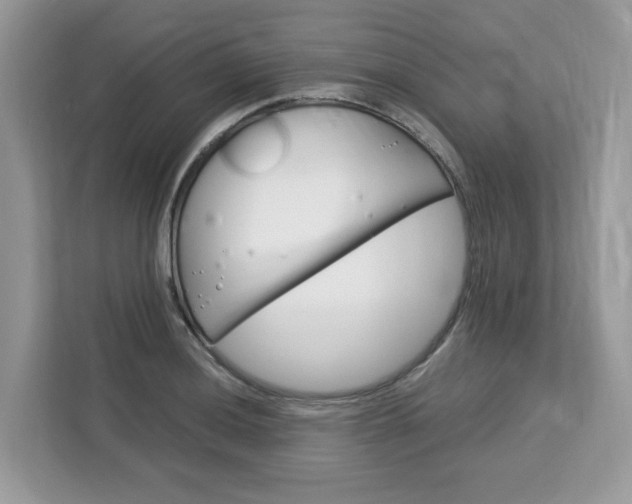 X0000113091036200908281003
