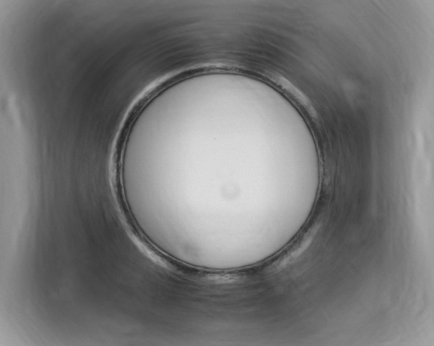 X0000113091037200908281003