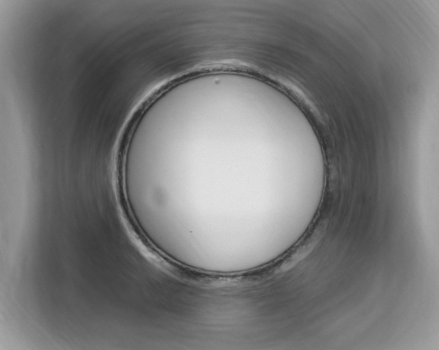 X0000113091038200908281003