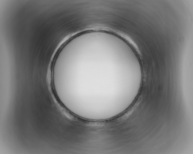X0000113091040200908281003