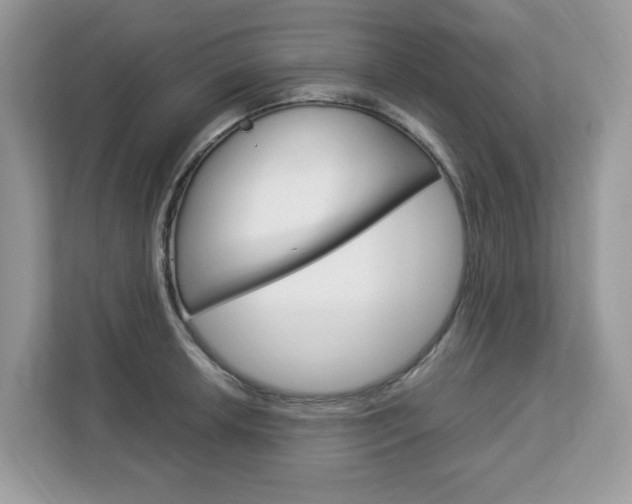 X0000113091042200908281003