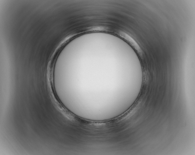 X0000113091043200908281003