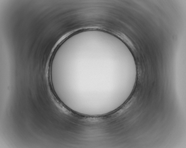 X0000113091044200908281003