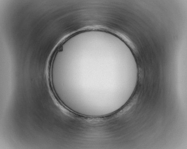 X0000113091046200908281003
