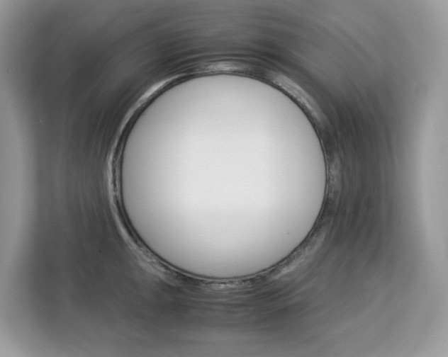 X0000113091047200908281003