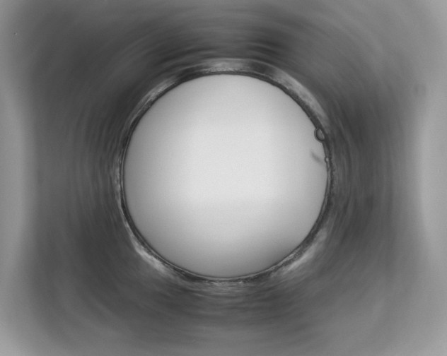 X0000113091049200908281003