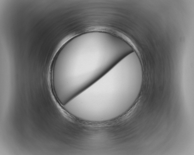 X0000113091050200908281003
