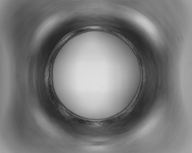 X0000113091052200908281003