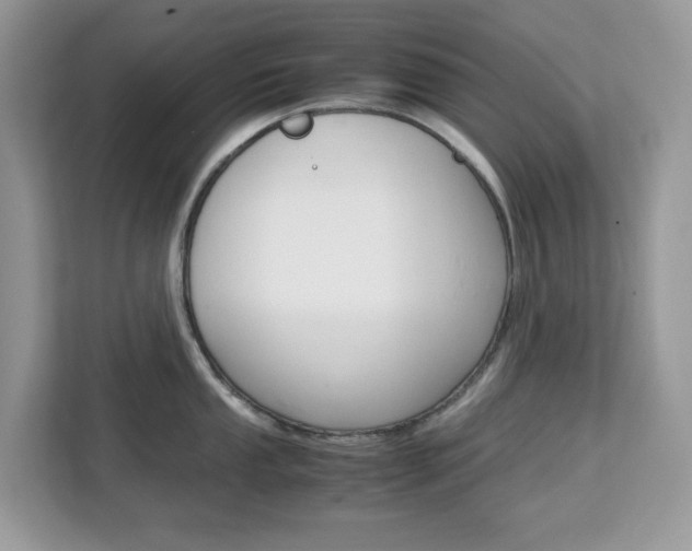 X0000113091053200908281003