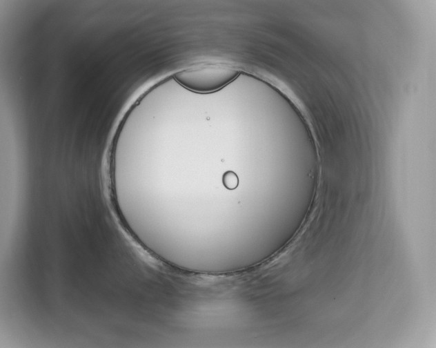 X0000113091056200908281003