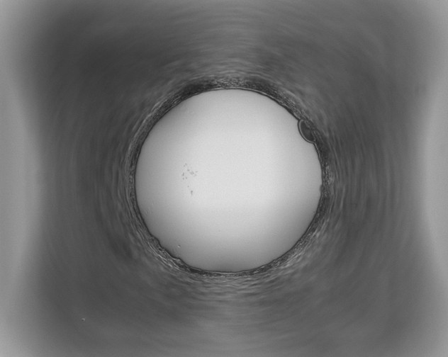 X0000113091057200908281003