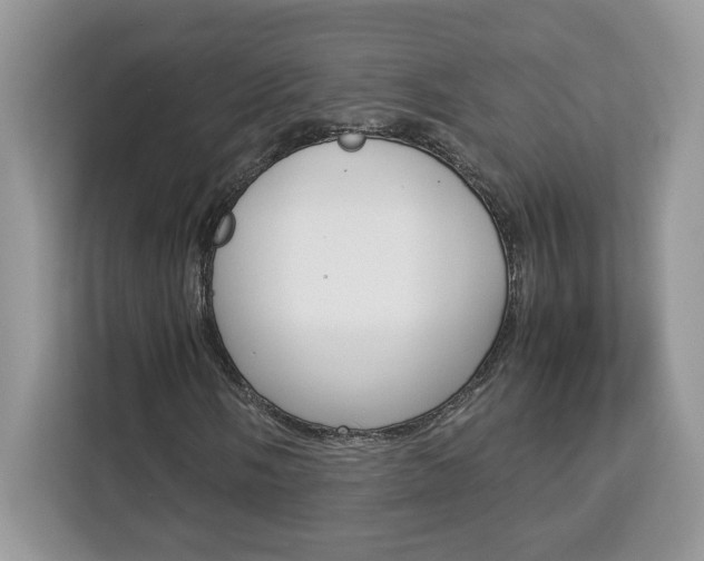 X0000113091058200908281003