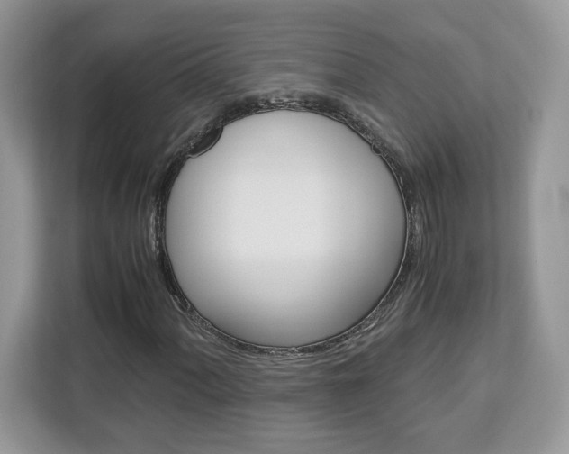 X0000113091060200908281003