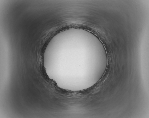 X0000113091061200908281003